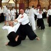 IMG_3152.jpg